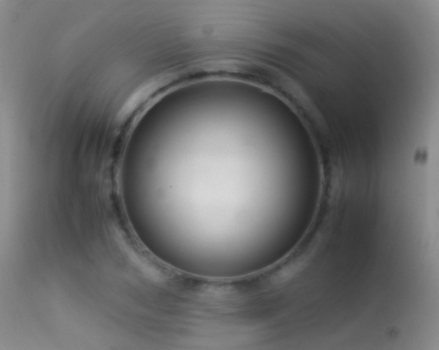 X0000113330978200909141422