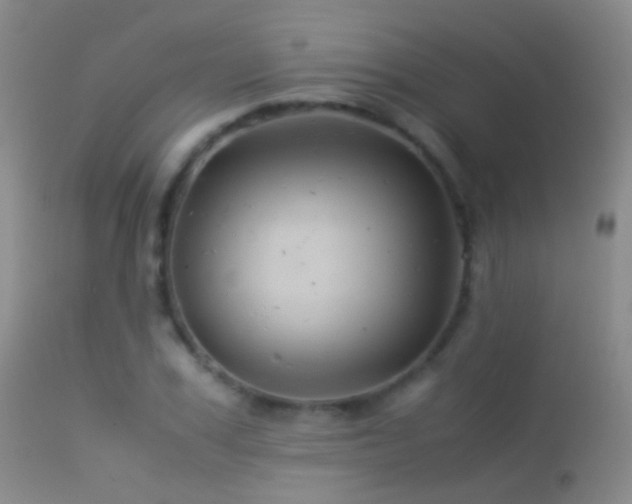X0000113330979200909141422