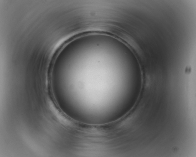 X0000113330980200909141422