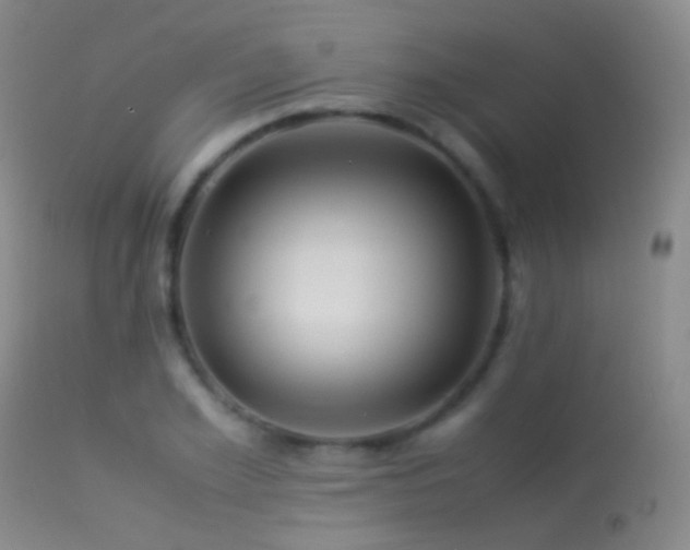 X0000113330981200909141422
