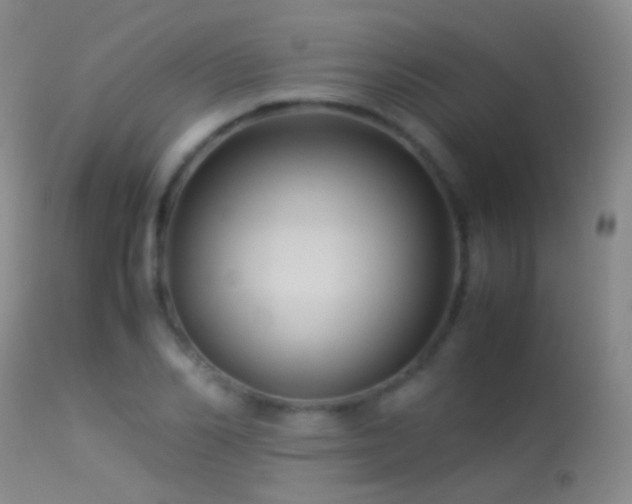 X0000113330982200909141422
