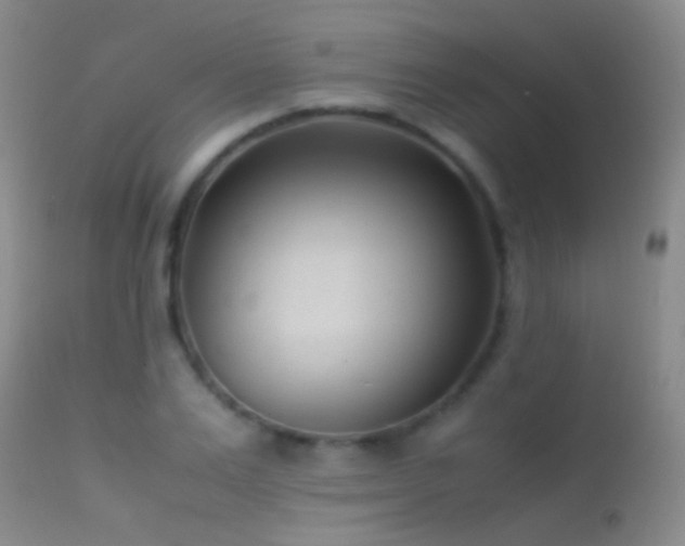 X0000113330983200909141422