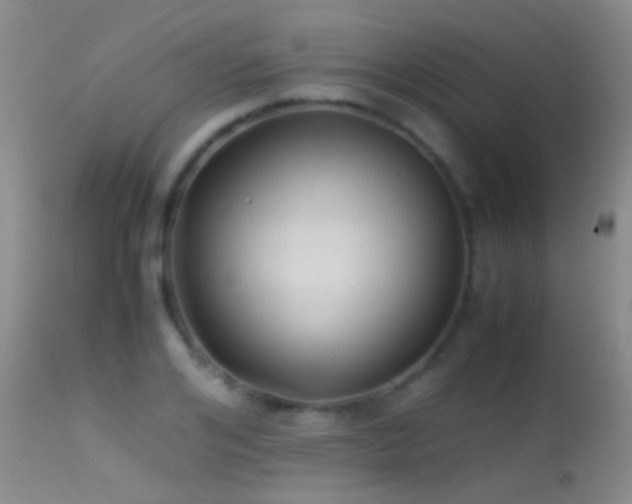 X0000113330984200909141422