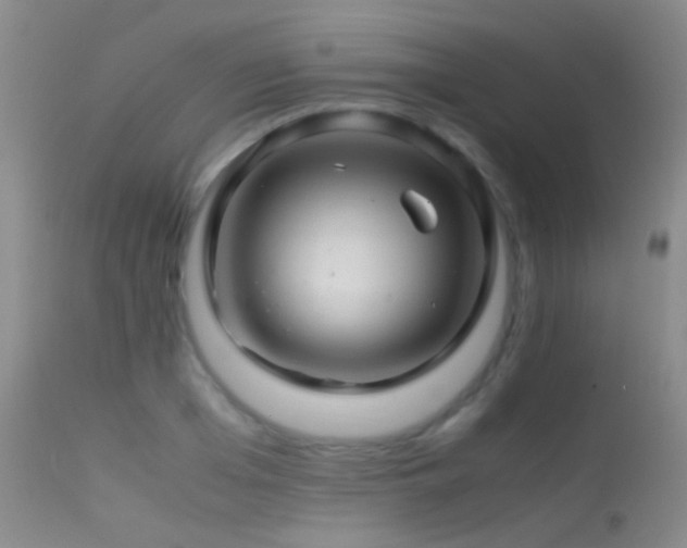 X0000113330985200909141422