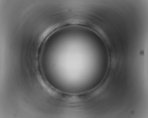 X0000113330986200909141422