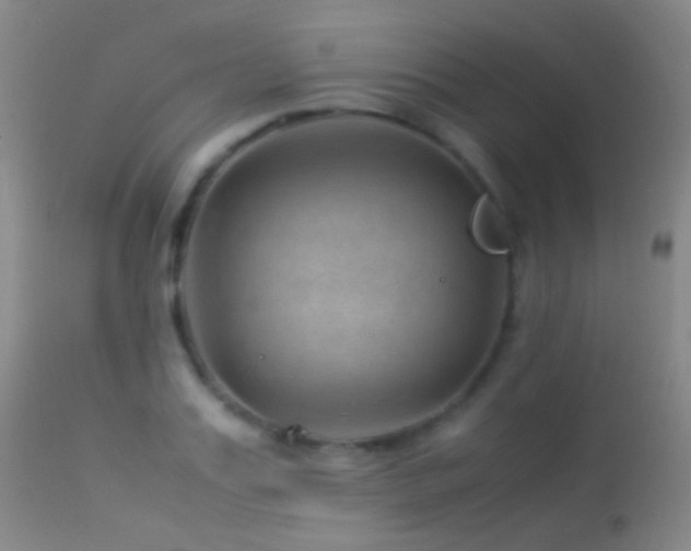 X0000113330987200909141422