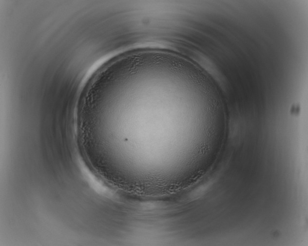 X0000113330988200909141422