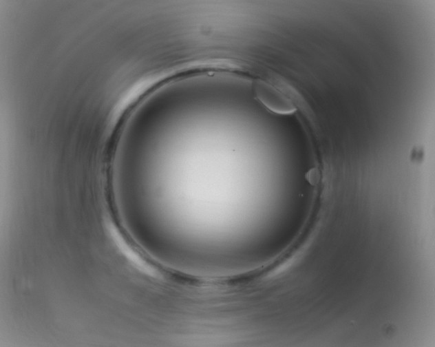 X0000113330989200909141422