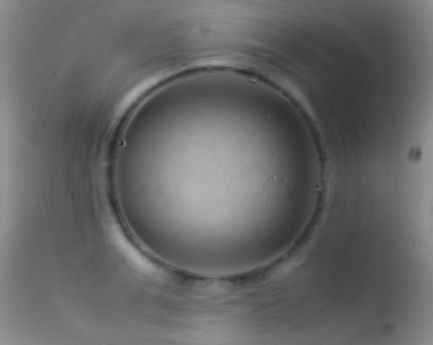 X0000113330991200909141422