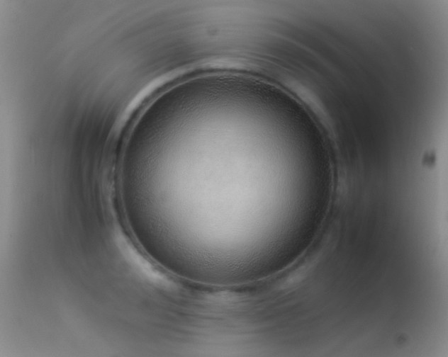 X0000113330992200909141422
