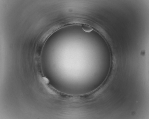 X0000113330993200909141422