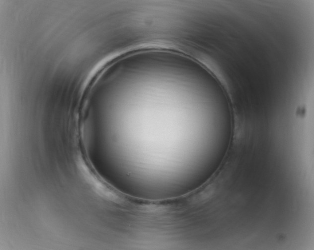 X0000113330996200909141422