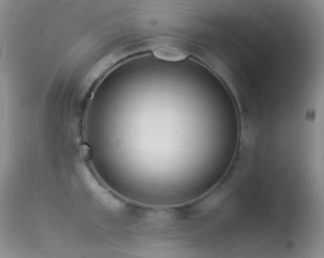 X0000113330997200909141422