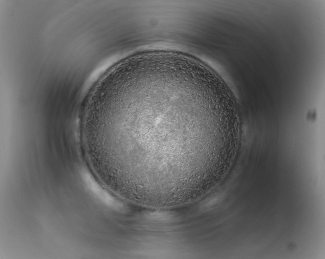 X0000113330998200909141422