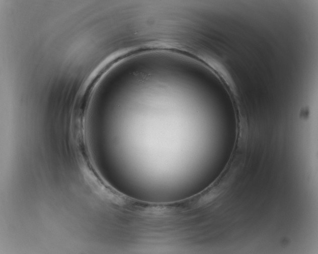 X0000113331000200909141422