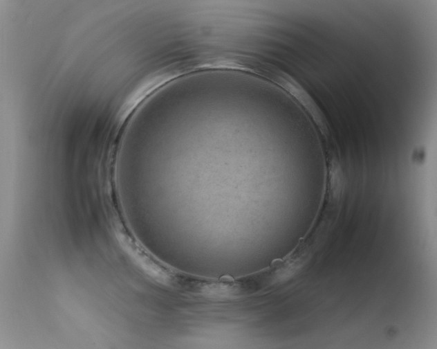 X0000113331002200909141422