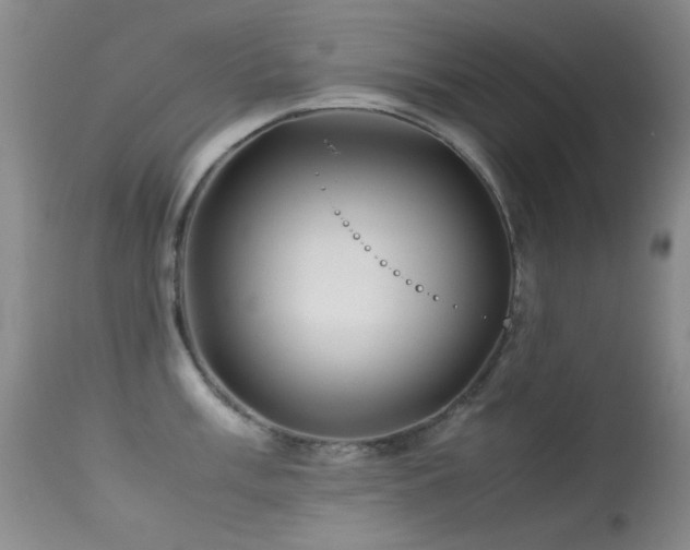 X0000113331003200909141422