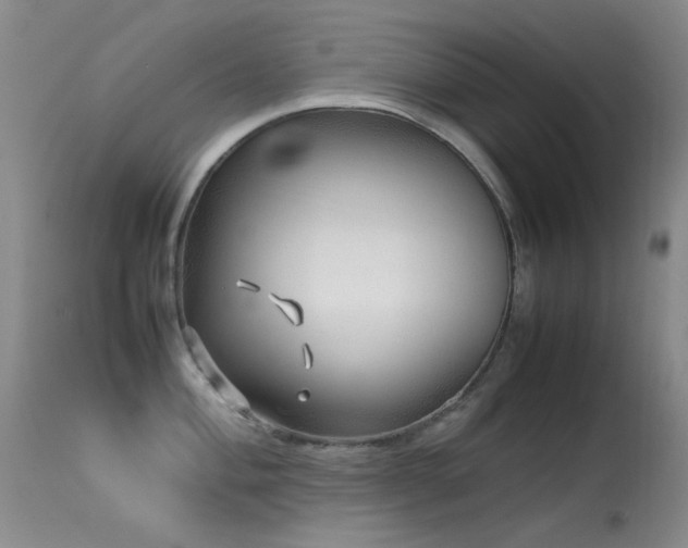 X0000113331004200909141422