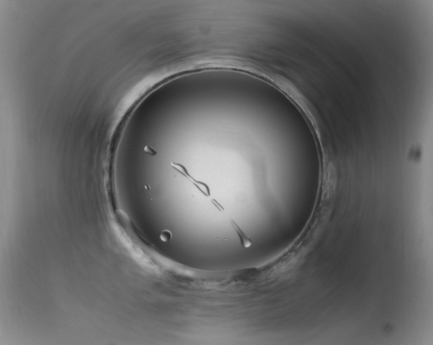 X0000113331005200909141422