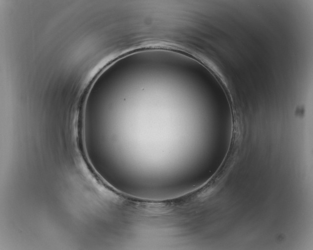 X0000113331007200909141422