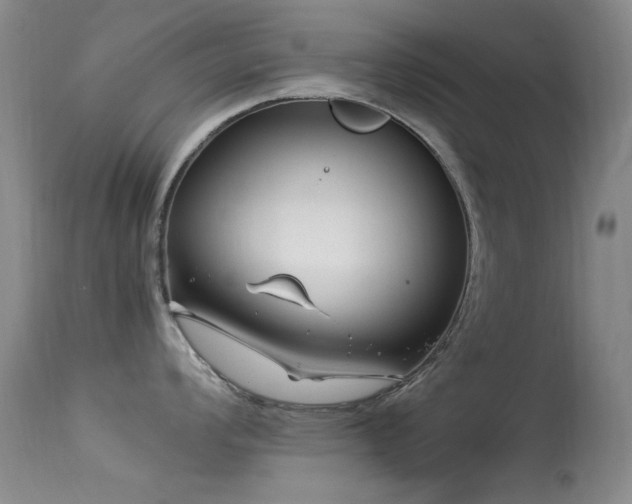 X0000113331008200909141422