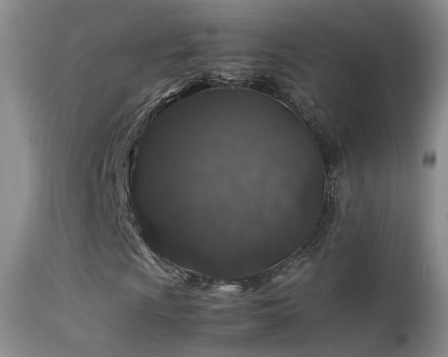 X0000113331009200909141421
