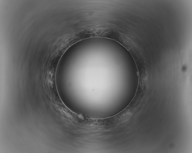 X0000113331010200909141421