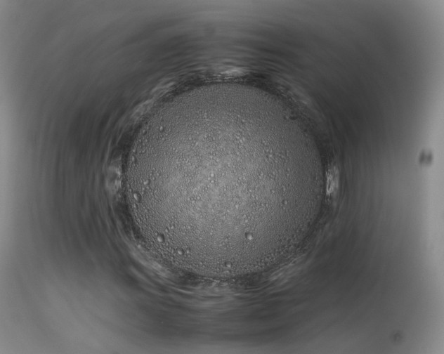 X0000113331011200909141421