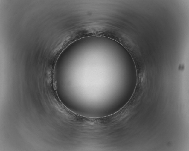 X0000113331012200909141421
