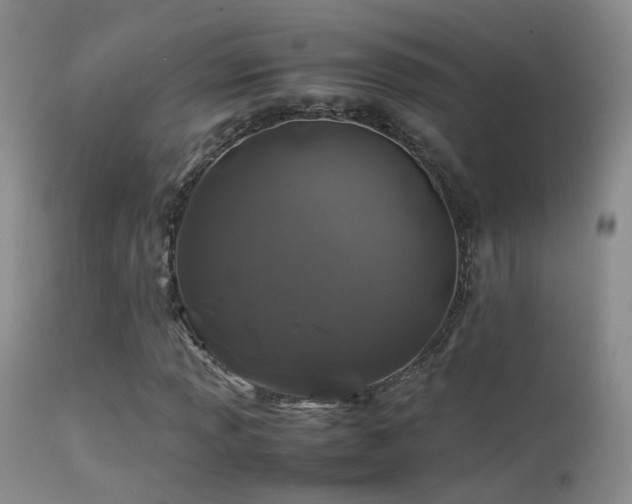 X0000113331013200909141421