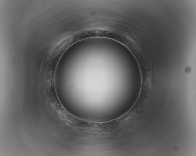 X0000113331014200909141421