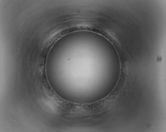 X0000113331015200909141421