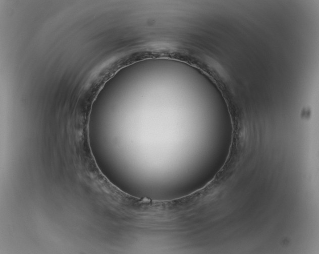 X0000113331016200909141421