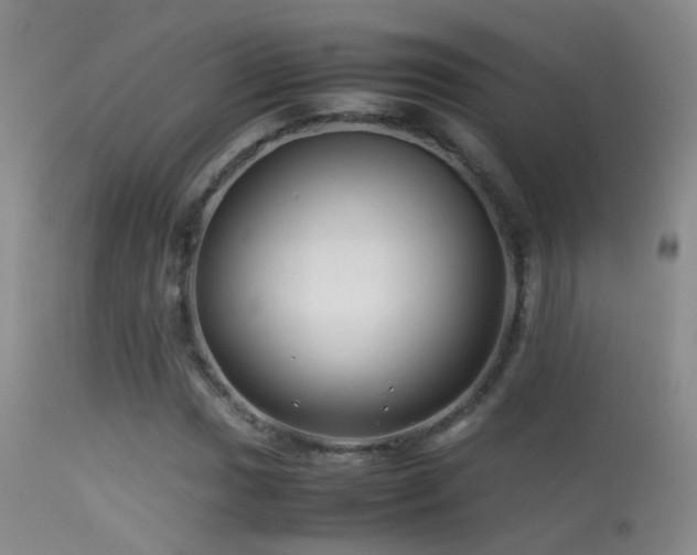 X0000113331017200909141421
