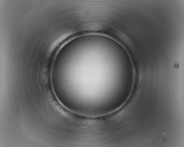 X0000113331018200909141421