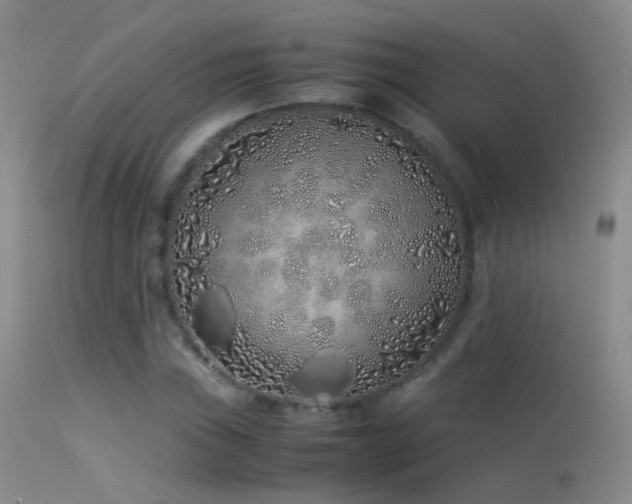 X0000113331019200909141421