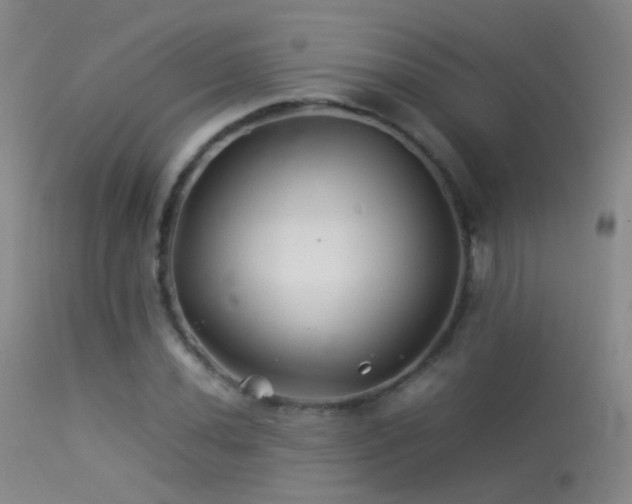 X0000113331020200909141421