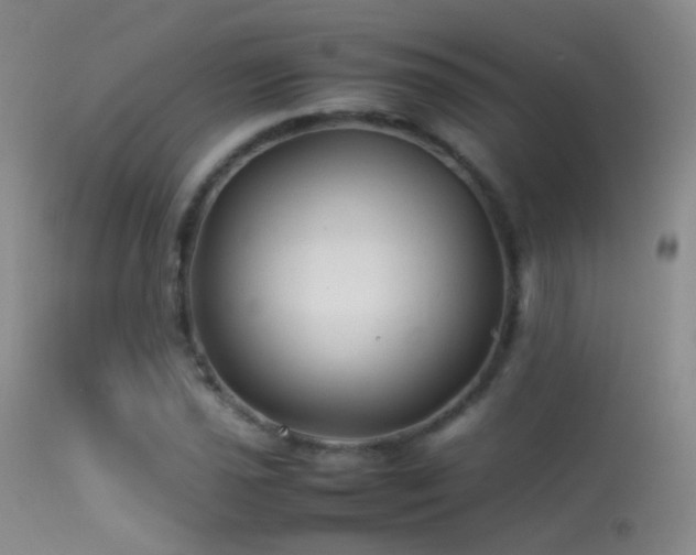 X0000113331021200909141421