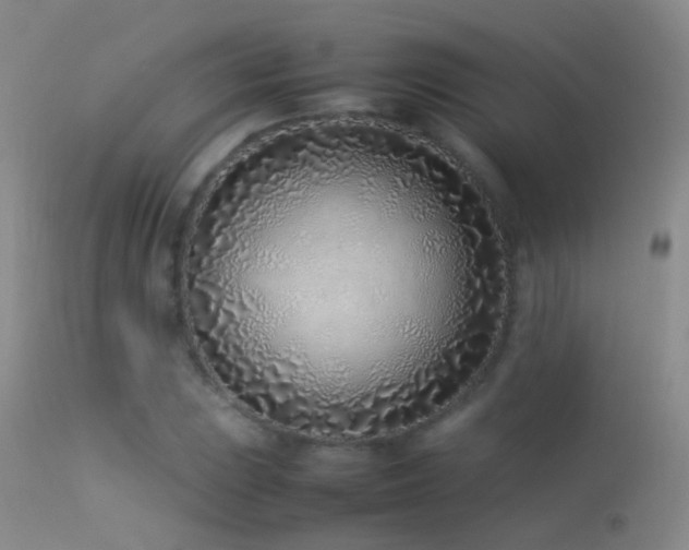 X0000113331023200909141421