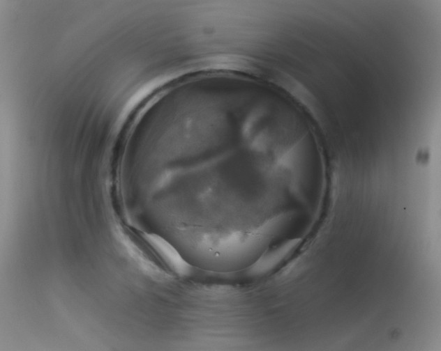 X0000113331024200909141421