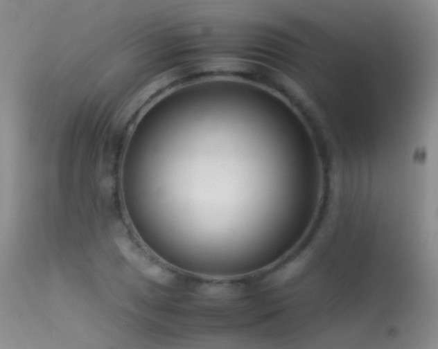 X0000113331025200909141421