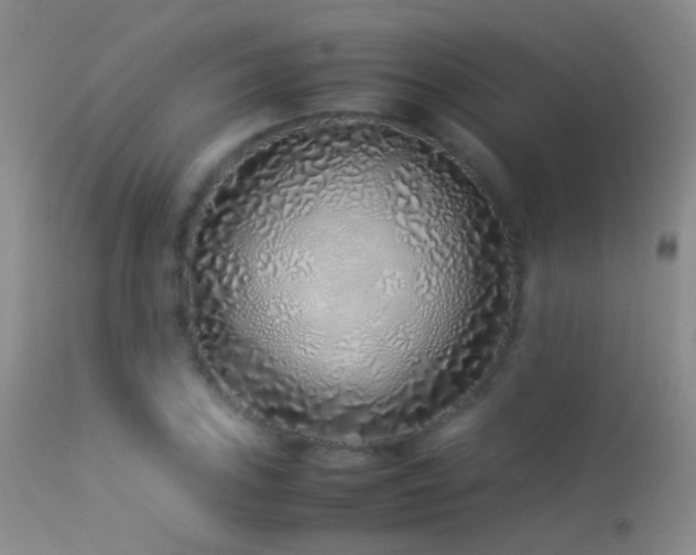 X0000113331027200909141421