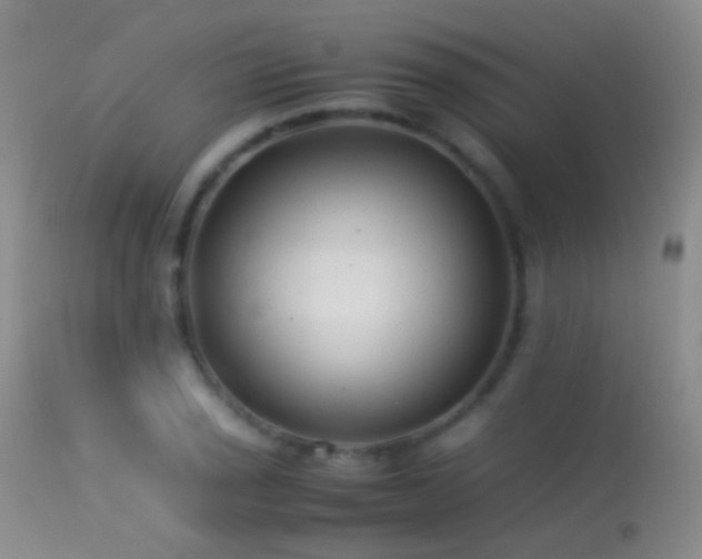 X0000113331029200909141421