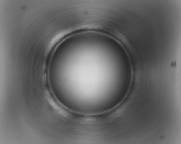X0000113331030200909141421
