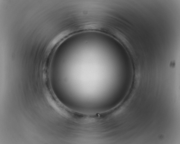 X0000113331034200909141421