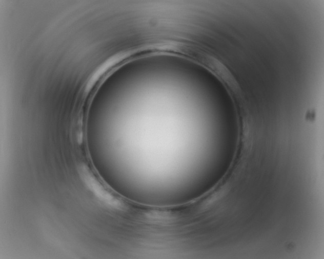 X0000113331036200909141421