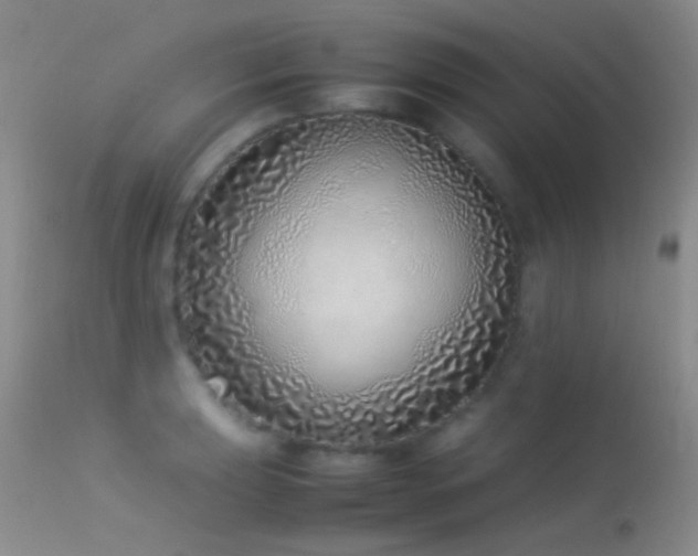 X0000113331039200909141421