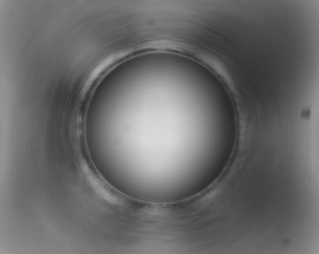 X0000113331040200909141421