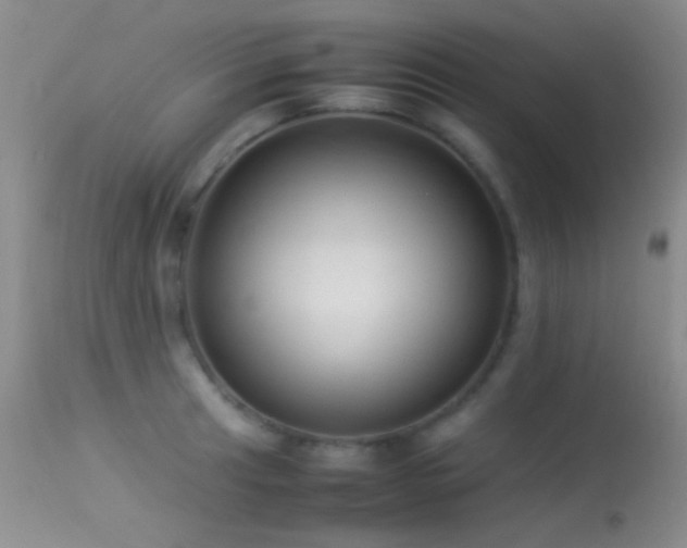 X0000113331041200909141421