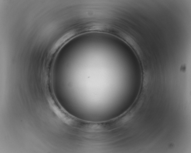 X0000113331042200909141421